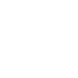 Logistics software solutions icon