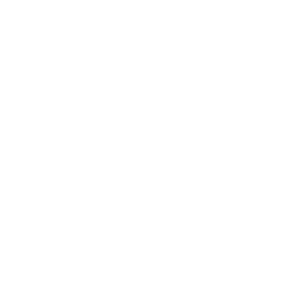 Healthcare software solutions icon
