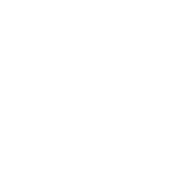 Cybersecurity services icon