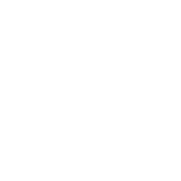 Web development services icon